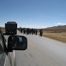 Bolivian Adventure
